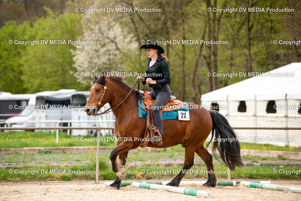 Heiligenwald Tag 1-209 | dv-media-shop - Realisiert mit Pictrs.com