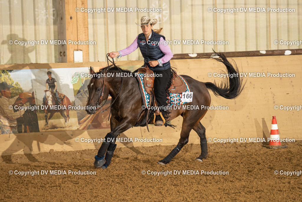 LAU00662 | dv-media-shop - Realisiert mit Pictrs.com