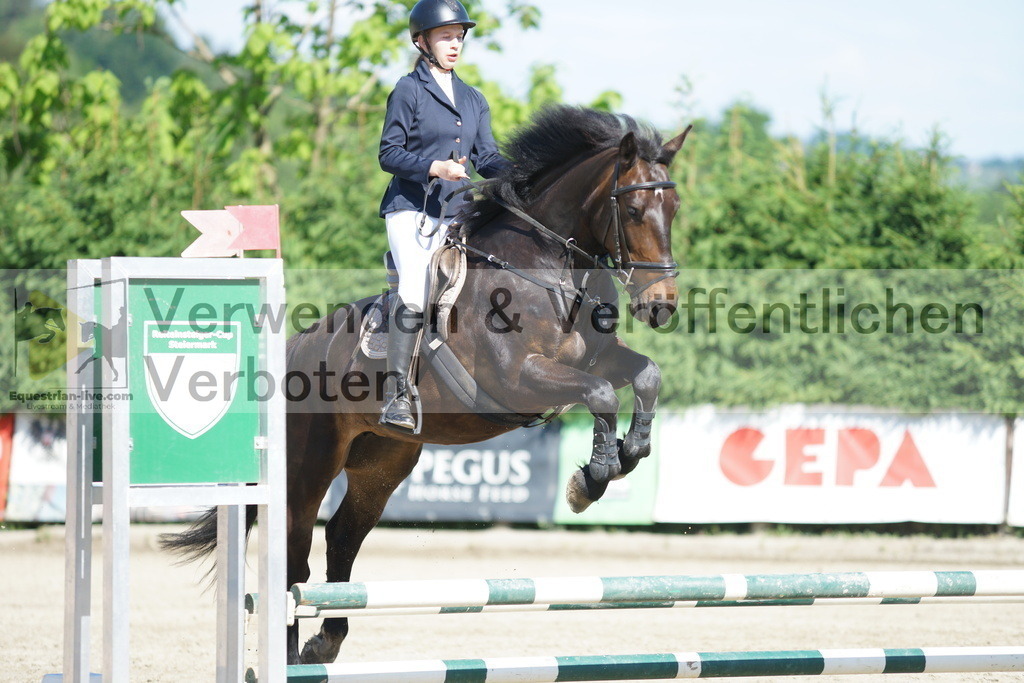 DSC06092 | equestrian-live-com