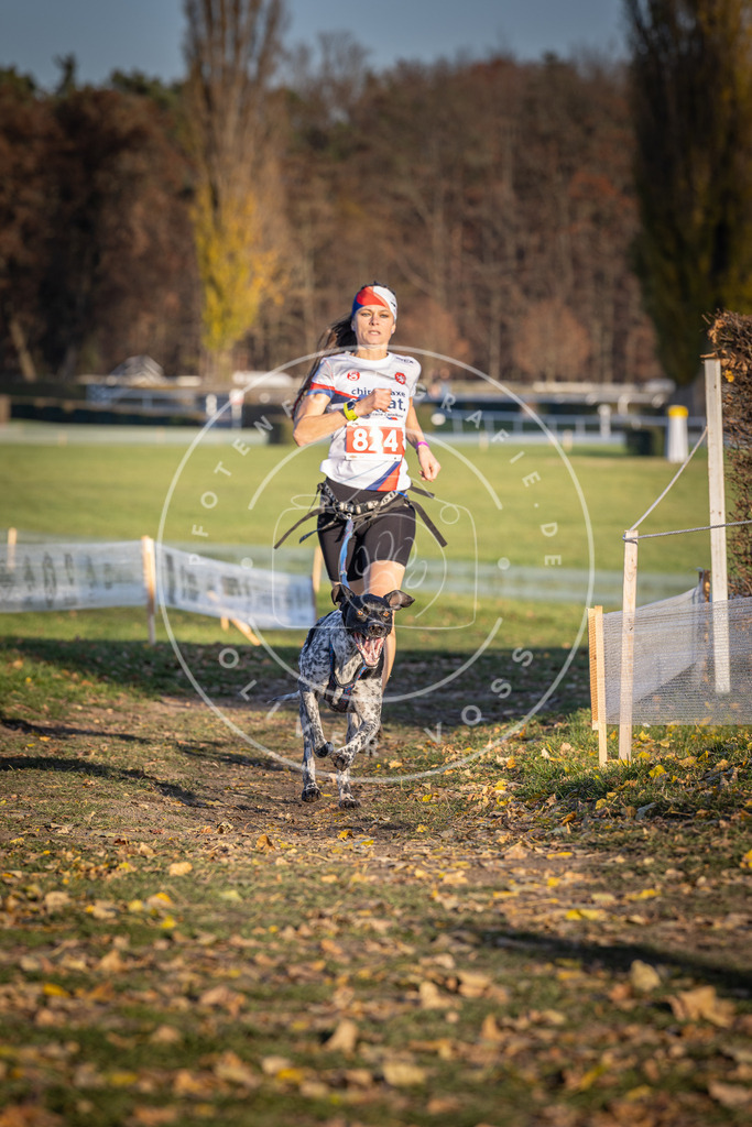 CaniXpix_DV3A3308 | Hundefotografie, Tierfotograf, Pfotenfotografie, Fotoshooting Hund, Hunde Portrait, Hundesport, Hundeportraits, Heideshooting, Hunde, Sportfotograf, Hundefotograf, Turnierhundsport, THS,  - Realisiert mit Pictrs.com