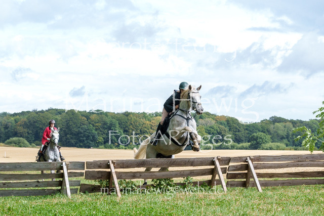 Jagd Knoop 26_MarinaHewigMCH02575 | Fotografie, FotoArt, PferdesportArt, Pferdesportfotografie, Landschaftsfotografie, Reisefotografie, Reise, Pferde - Realisiert mit Pictrs.com