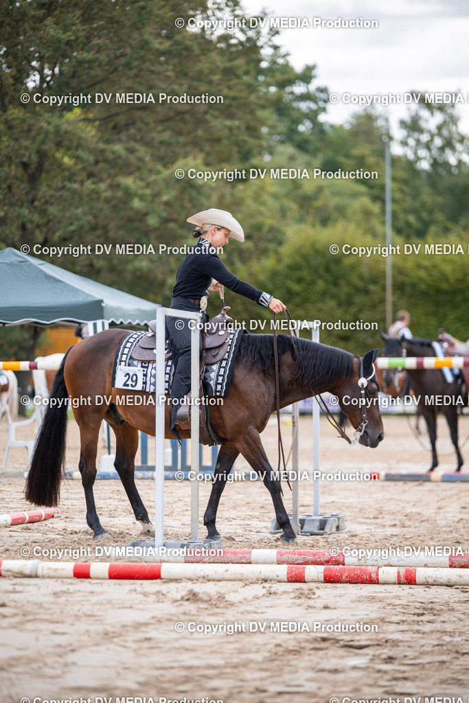 ZS3_4756 | dv-media-shop - Realisiert mit Pictrs.com