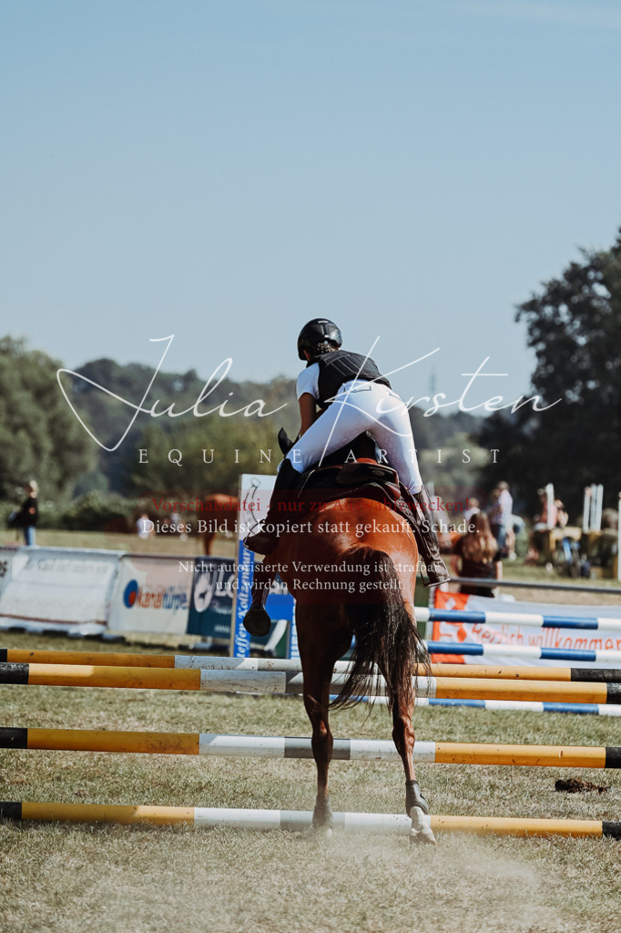 DSC_9438 | Pferde- und Turnierfotografie in Westsachsen. Pferdeportraits, Auftragszeichnungen und intuitive Kunst.
