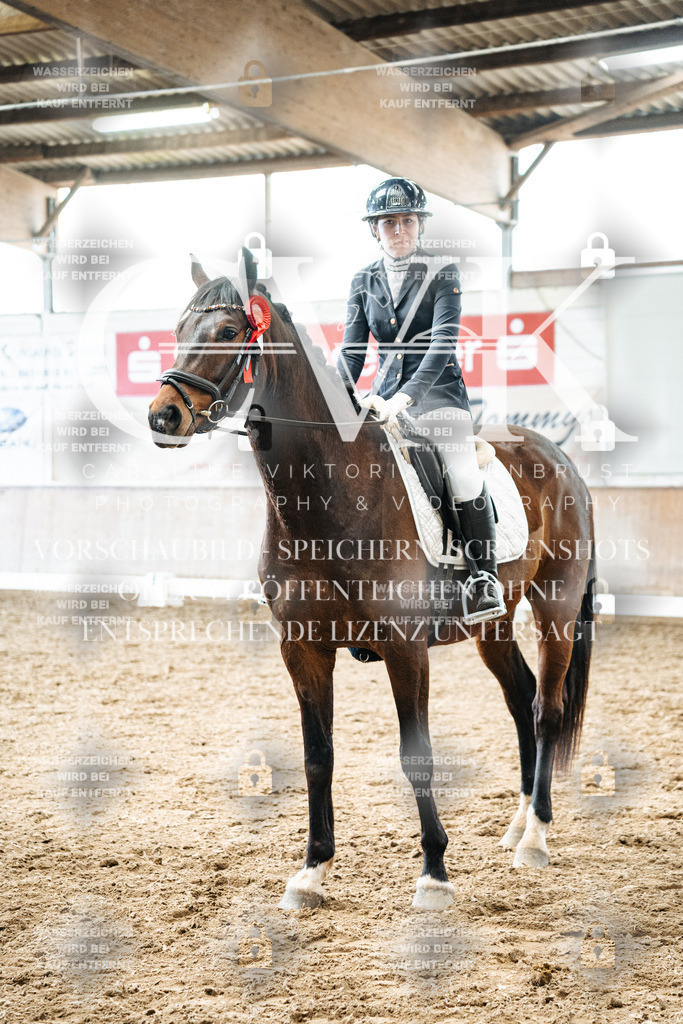 CK703143 | Turnierfotografie Pferdefotografie Trier Rheinland-Pfalz Pferdesport Reitsport Tierfotografie Sportfotografie Pferdevideo Pferdevideografie Equestrianvideography equestrianphotography  - Realisiert mit Pictrs.com
