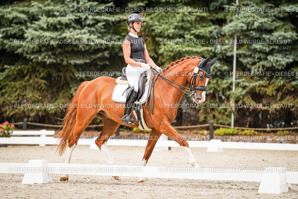 DSC07873 | Pferdegrafie