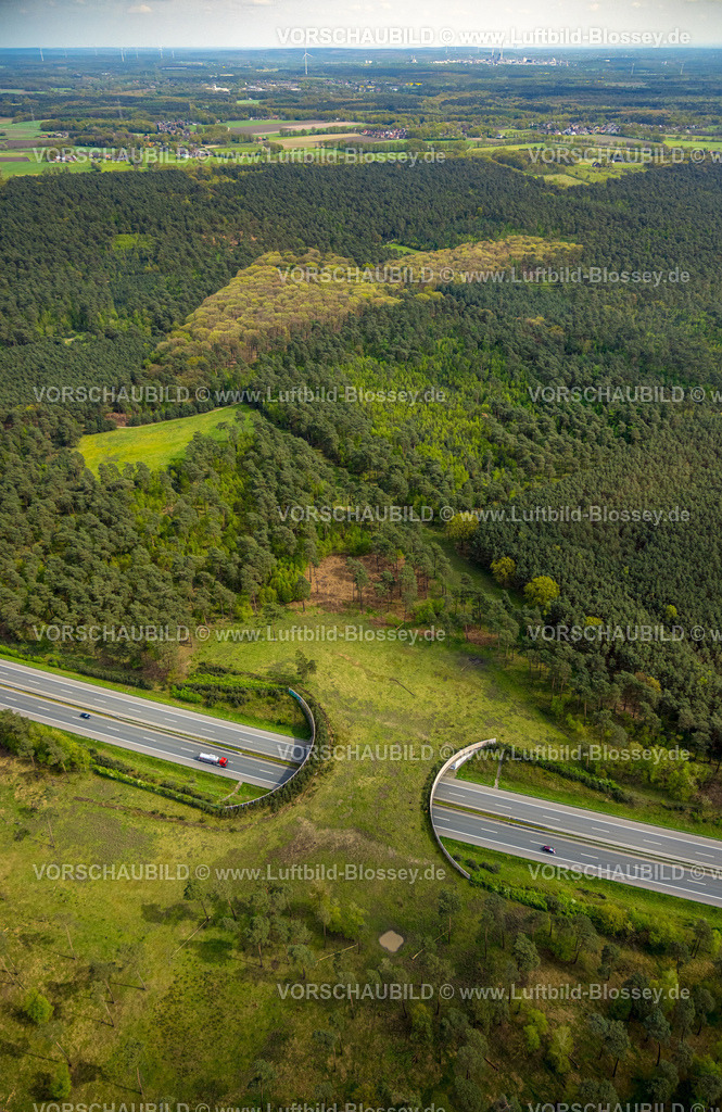 Schermbeck240402109UefterMark | Luftbild, Waldgebiet Üfter Mark, Autobahn A31 mit Grünbrücke bzw. Wildbrücke für gefahrlose Überquerung von Wildtieren, Wildwechsel, Altschermbeck, Schermbeck, Münsterland, Nordrhein-Westfalen, Deutschland