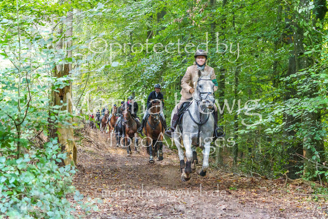 Jagd Perdoel_MarinaHewigMCH04724 | Fotografie, FotoArt, PferdesportArt, Pferdesportfotografie, Landschaftsfotografie, Reisefotografie, Reise, Pferde - Realisiert mit Pictrs.com