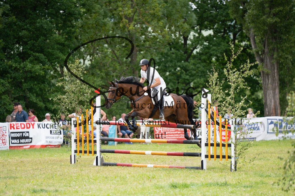 A7V07205 | Pferdefotograf