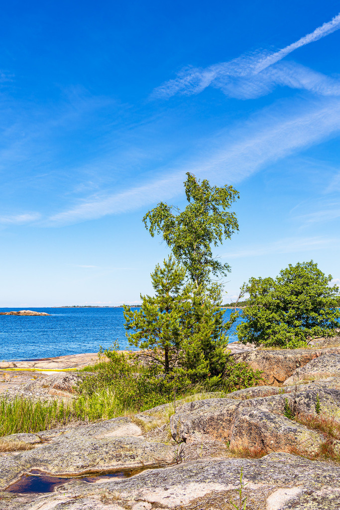 Ostseeküste mit Felsen und Bäumen auf der Insel Sladö in Schweden | Ostseeküste mit Felsen und Bäumen auf der Insel Sladö in Schweden.