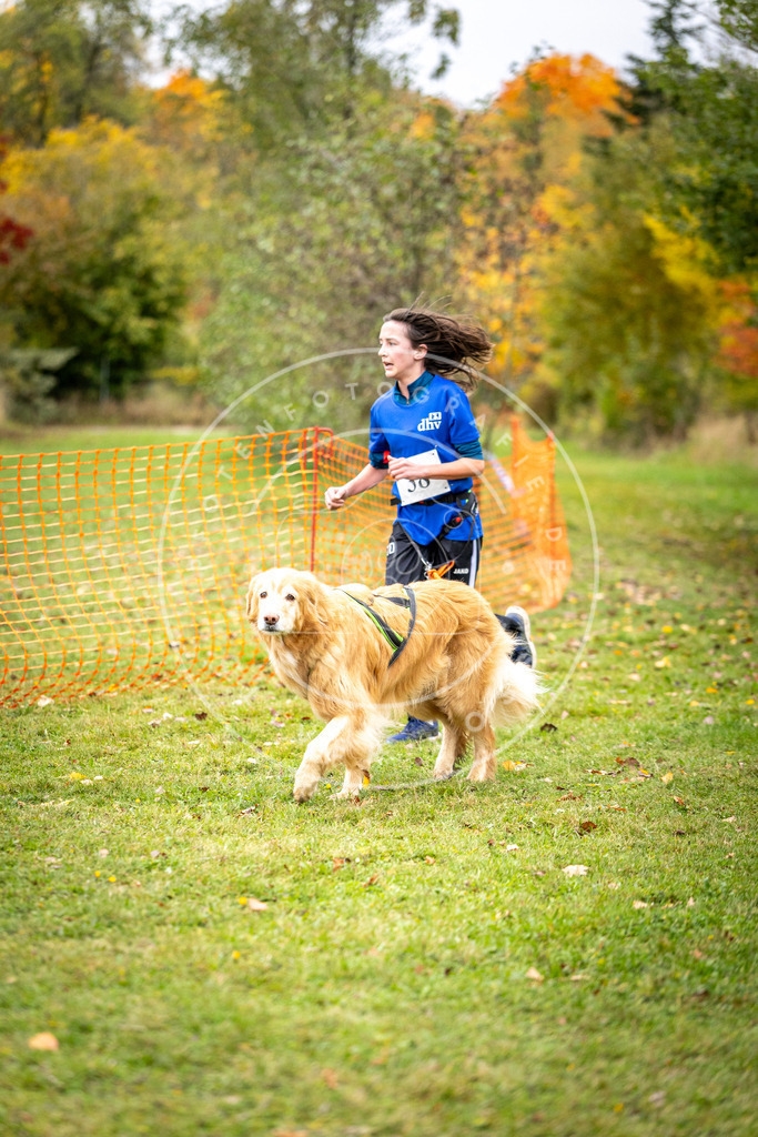 Pfotenfotografie_DV3A2242 | Hundefotografie, Tierfotograf, Pfotenfotografie, Fotoshooting Hund, Hunde Portrait, Hundesport, Hundeportraits, Heideshooting, Hunde, Sportfotograf, Hundefotograf, Turnierhundsport, THS,  - Realisiert mit Pictrs.com