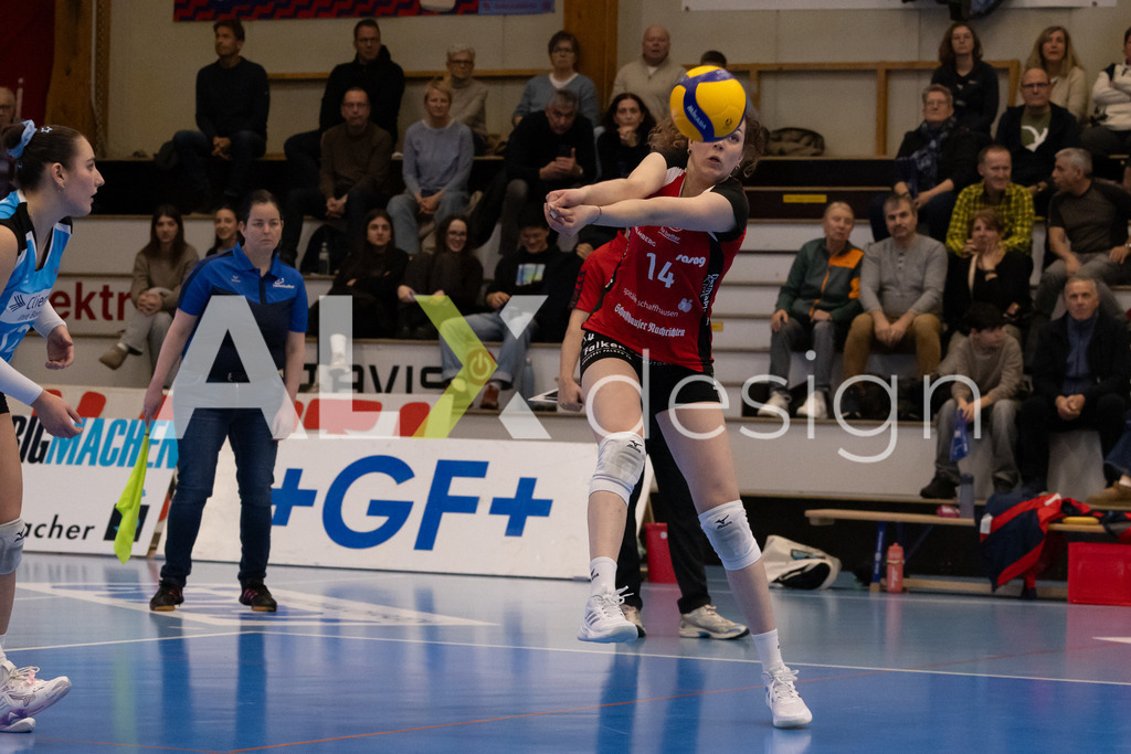 Volleyball I Frauen I Saison 2025-2026 I Volleyball NLA | Women I 1/4 Finals I VC Kanti Schaffhausen - BIWI Volleyball Franches-Montagnes I 21.02.2026 | 14 Josipa Marković (HR) (VC Kanti Schaffhausen) – Aussen - Realisiert mit Pictrs.com