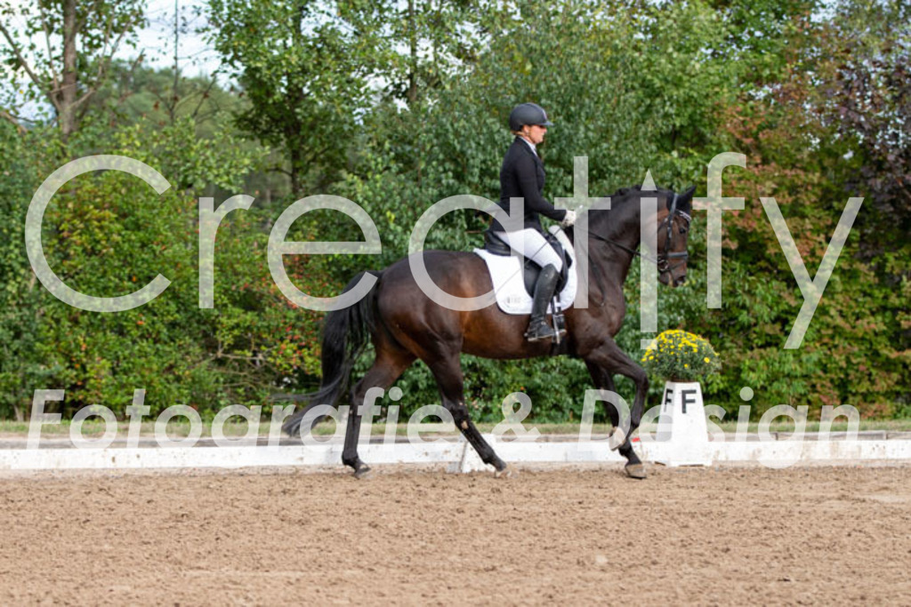 IMG_4872 | Creatify Fotografie