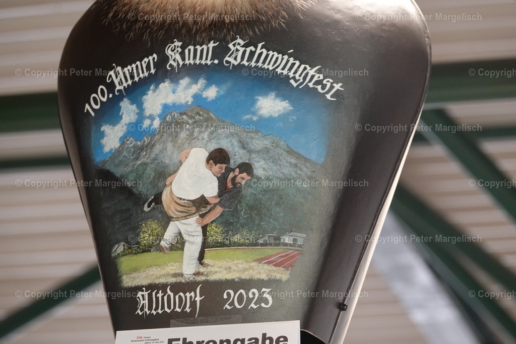 DSC04238 | Schwingen - Realisiert mit Pictrs.com