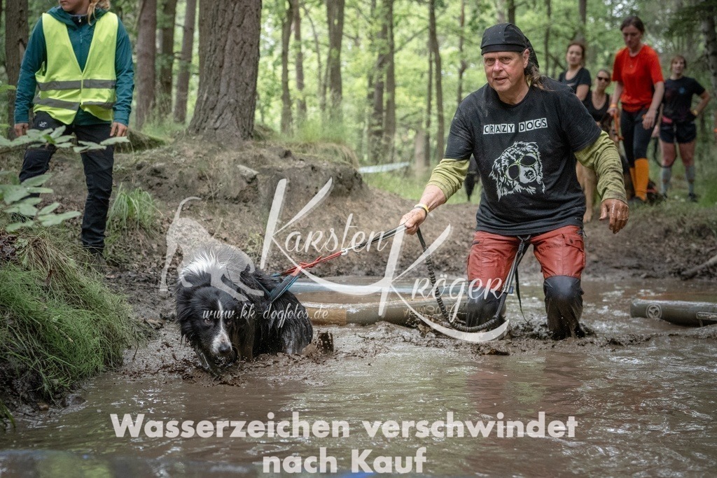 1300_ZZ91973T | kk-dogfotos