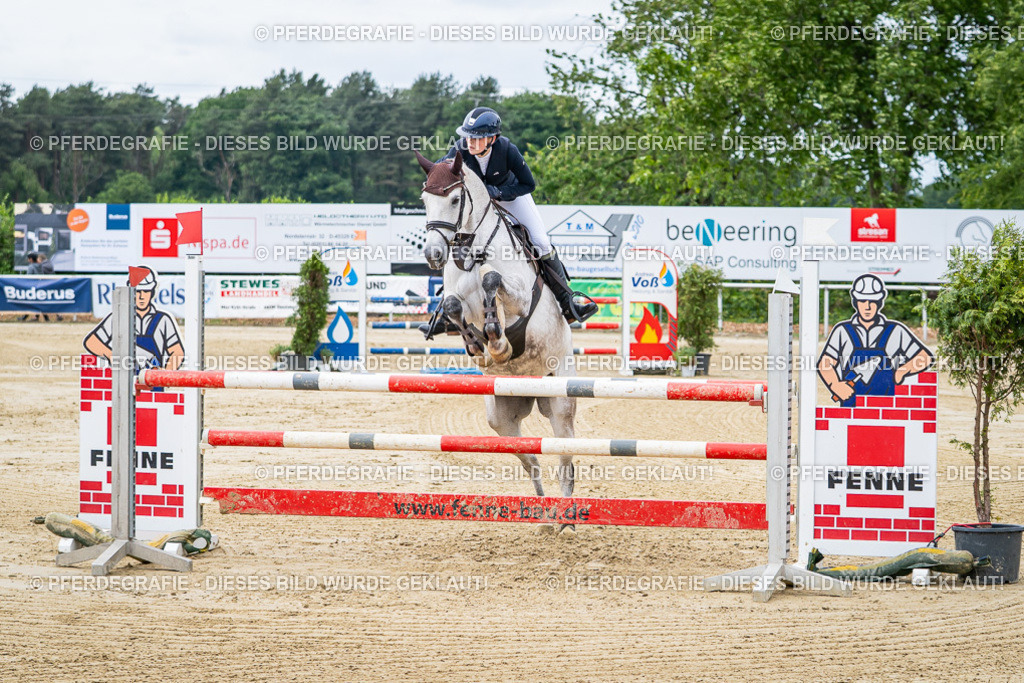 DSC04786 | Pferdegrafie