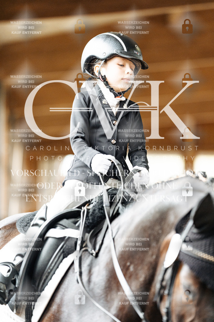 CK902147 | Turnierfotografie Pferdefotografie Trier Rheinland-Pfalz Pferdesport Reitsport Tierfotografie Sportfotografie Pferdevideo Pferdevideografie Equestrianvideography equestrianphotography  - Realized with Pictrs.com