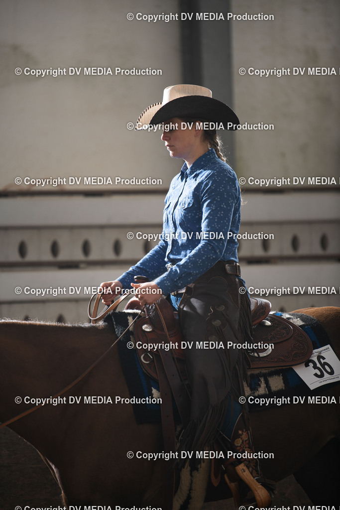 Heiligenwald Tag 1-351 | dv-media-shop - Realisiert mit Pictrs.com