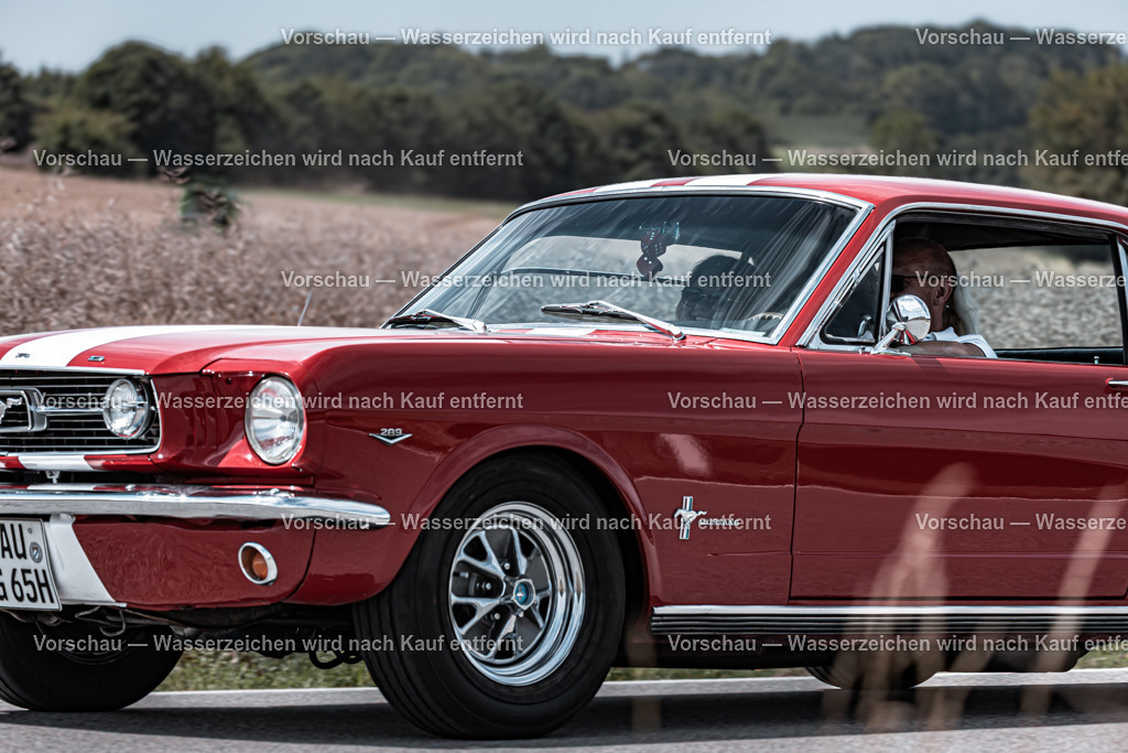 Rollhofen 2025_Hinfahrt_0195_3I9A1762 | #Grafikstudio Simplex #Fotos Juri Anikanov #Eventfotos #Grafiker #Fotograf #Eventfotograf #Fotograf Lauf #Fotogalerie #Shop #Sportfotograf #Fotograf Lauf an der Pegnitz  #Fotograf Lauf - Realisiert mit Pictrs.com