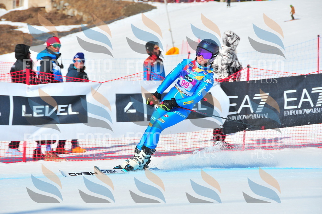 DSC_4577 | holidayphoto