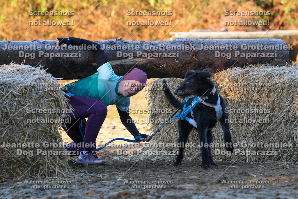 Dog Paparazzi - Strongdog 10-25-518 | Dog Paparazzi Jeanette Grottendiek Fotografie & Videografie - Realisiert mit Pictrs.com