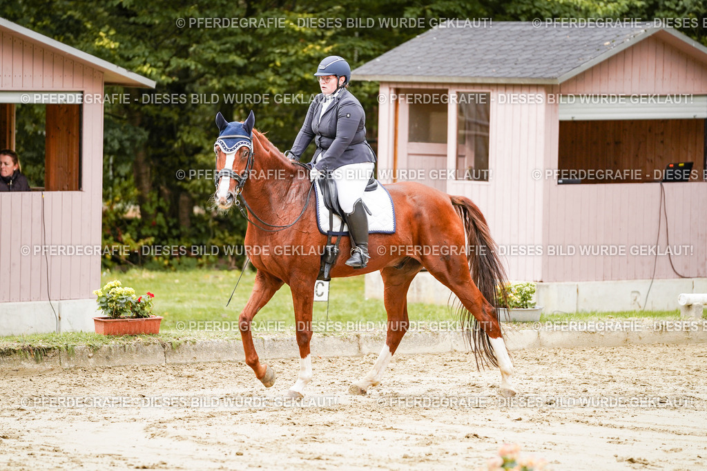 DSC03314 | Pferdegrafie