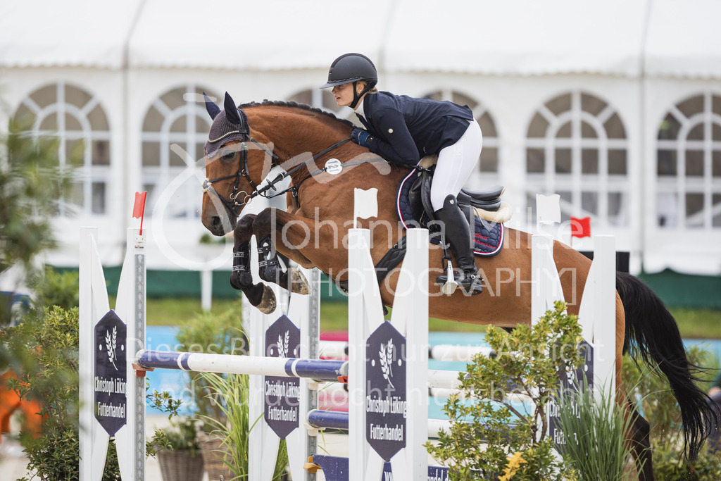 250710_BHO_Stil-L-1-156 | Deine schönsten Turniermomente als professionelle Fotos! Entdecke hochwertige Pferdesport-Fotografie im Online-Shop. Jetzt Fotos finden & bestellen!