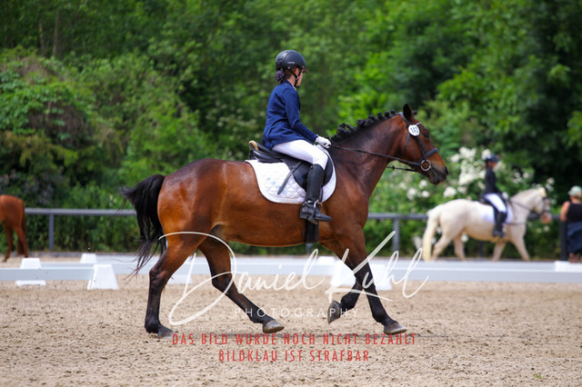 DKP46293 | Turnierfotos kaufen im Webshop von Daniel Kuhl Photography – entdecke professionelle Reitsportfotos aus Turnieren & Events. Hochwertige Turnierbilder online bestellen & sichern. Jetzt Fotos von Reitsportturnieren kaufen!