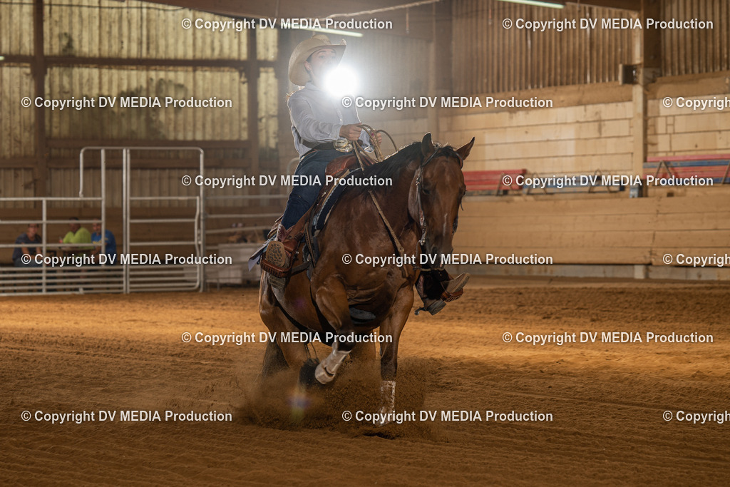 NID01938 | dv-media-shop - Realisiert mit Pictrs.com