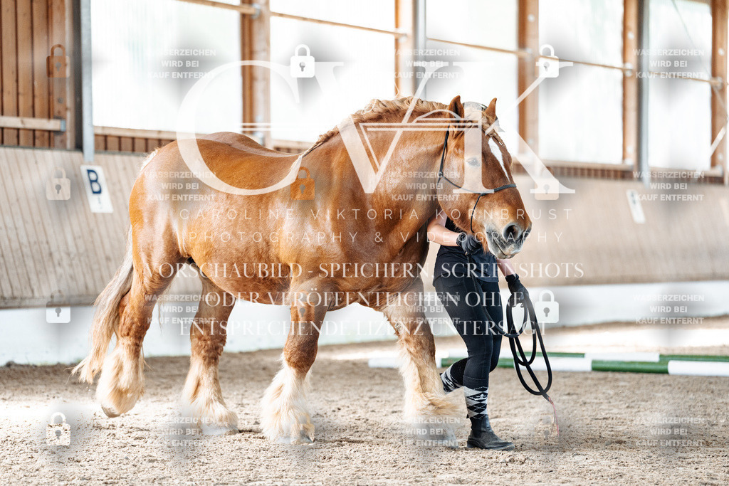CK906318 | Turnierfotografie Pferdefotografie Trier Rheinland-Pfalz Pferdesport Reitsport Tierfotografie Sportfotografie Pferdevideo Pferdevideografie Equestrianvideography equestrianphotography  - Realisiert mit Pictrs.com