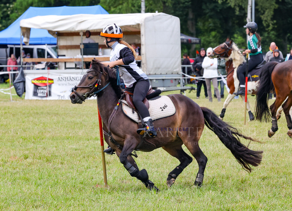 1B3A2010 | Reitsport Reiten