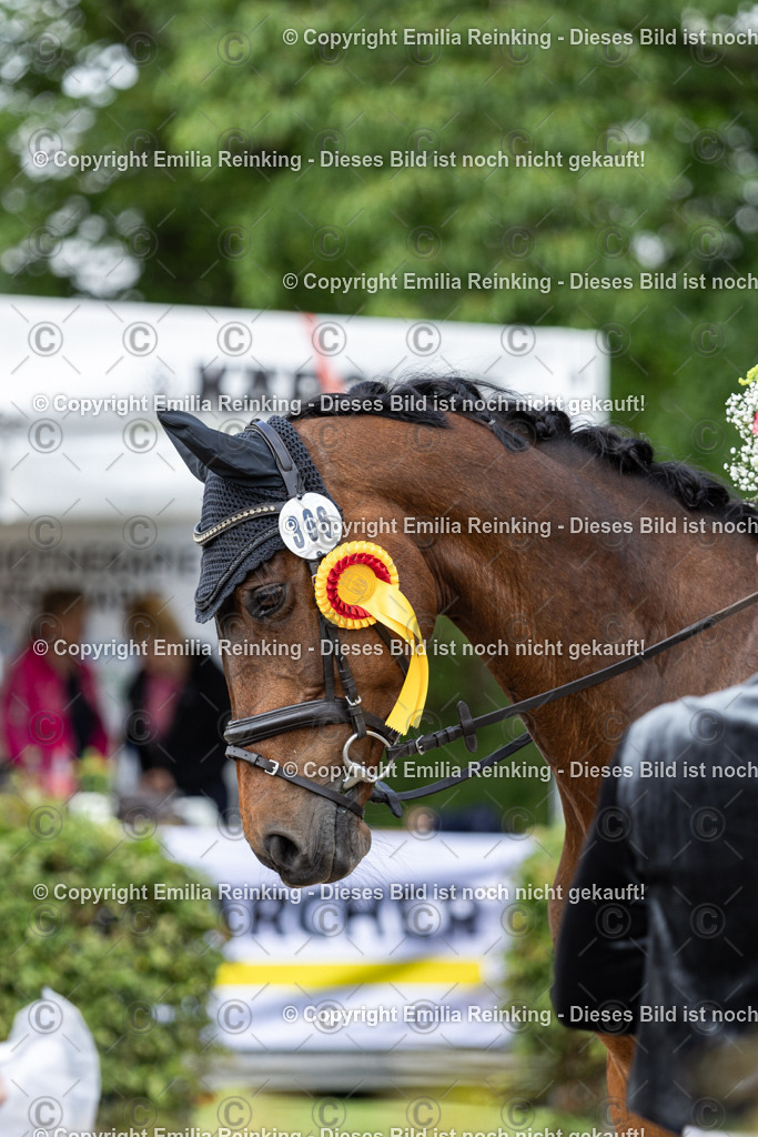 CL5A9414 | Emilia Reinking Fotografie - Realisiert mit Pictrs.com