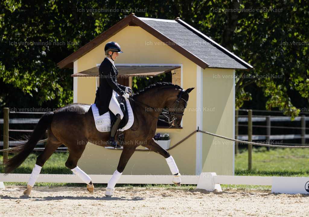 FHC2026_P12_Siegerehrung_19351 | working equitationturnier fotograf videograf stoibphotography marixx film working equitation deutschland reitsport turnierfotografie eventfotografie equestrian events