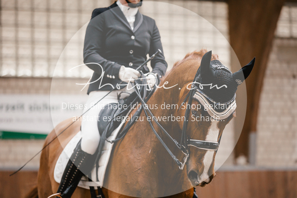 3I6A8925 | Stimmungsvolle Portraits und Reitsportfotografie im Ruhrgebiet und im Münsterland.

Pferdefotografie, Hundefotografie, Tierfotografie, Reportagen, Portraits von Tier und Mensch, Turnierfotografie in Bochum, Recklinghausen, Marl, Haltern am See, Dülmen.. - Realisiert mit Pictrs.com