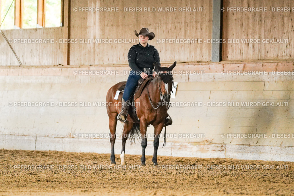 DSC05384 | Pferdegrafie