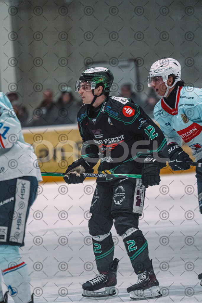 Alligators_vs_Heilbronn_08_02_2026-26 | Höchstadt Alligators Fotogalerie: Eishockey-Action aus Franken. Professionelle Spielfotos, Portraits & Stadionbilder zum Download. Jetzt entdecken! - Realisiert mit Pictrs.com