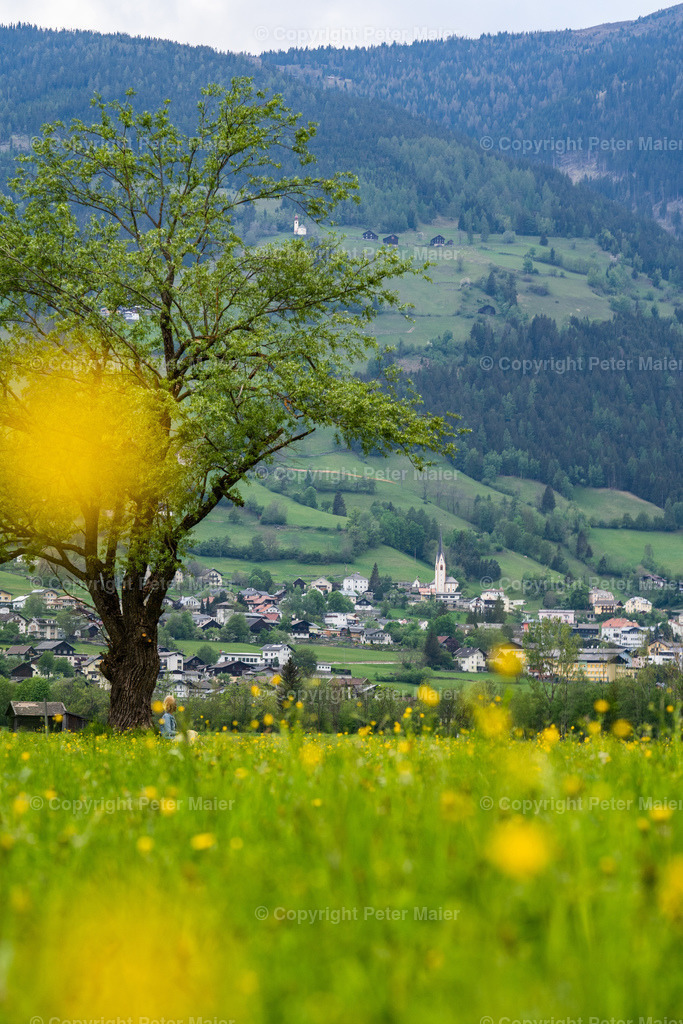 Winklern_Frühling-56 | piet_flosse