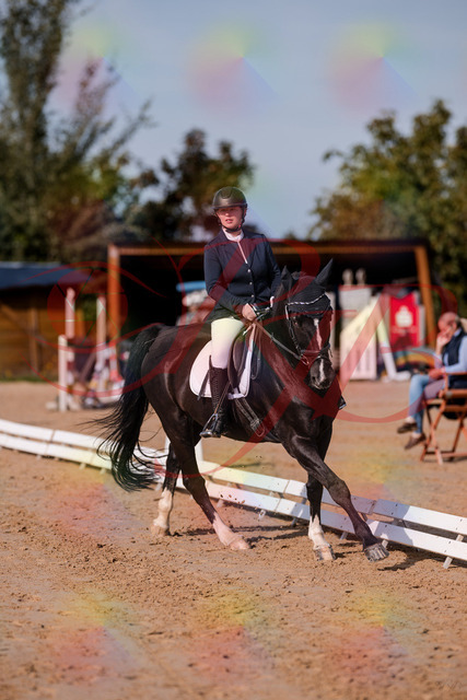 2026_10_03_Siefer-Hof_113745_Z81_81310273 | Professionelle Reitsport-, Turnier- und Eventfotografie von Robert Broda. Galerien mit ausgewählten und bearbeiteten Bildern direkt online ansehen und bestellen.