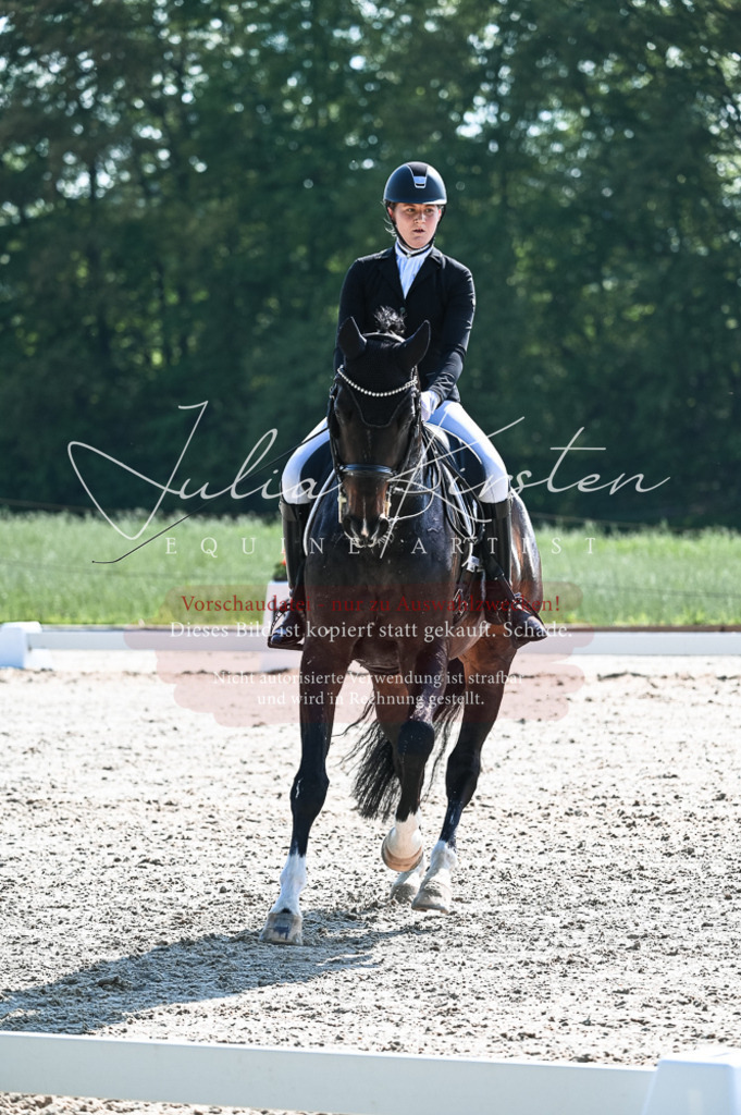 20230514_JK-Röhrsdorf-18-404 | Pferde- und Turnierfotografie in Westsachsen. Pferdeportraits, Auftragszeichnungen und intuitive Kunst.