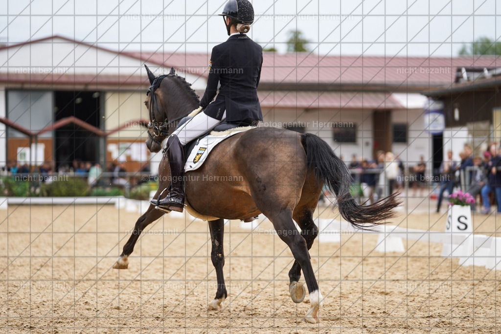 20240825-FAH00009 | Turnierbilder, Reitsportfotos, LAPO, Landesponyturnier, Turnierfotografen Bayern