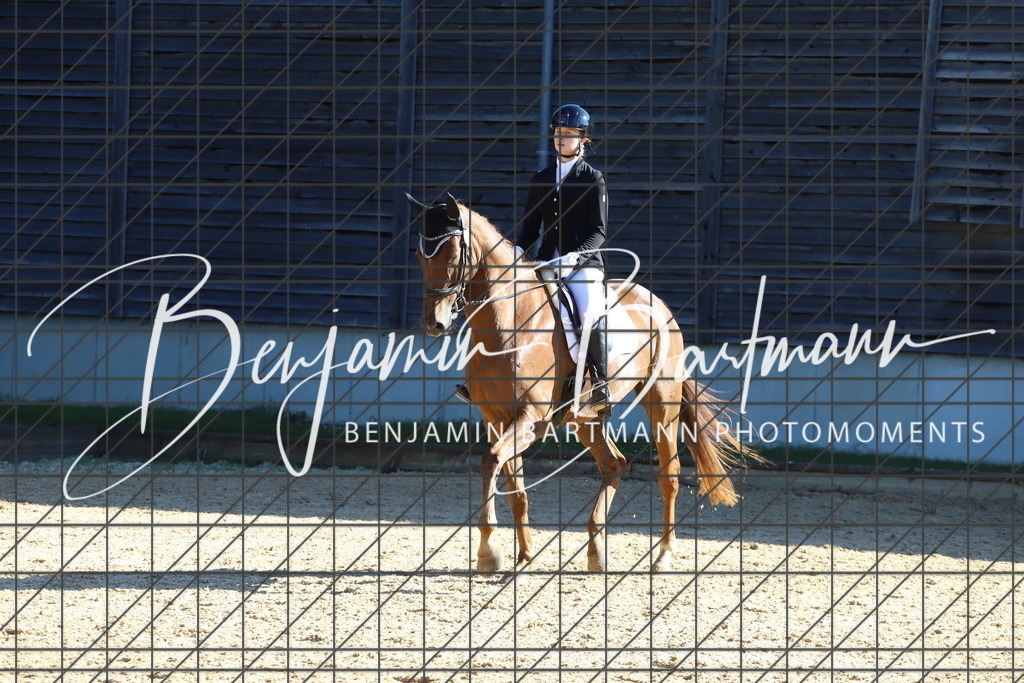 IMG_5146 | Benjamin Bartmann Photomoments