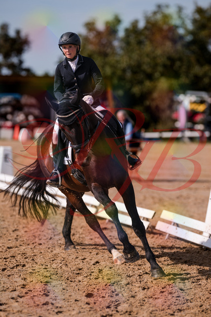 2026_10_03_Siefer-Hof_133829_Z81_96451786 | Professionelle Reitsport-, Turnier- und Eventfotografie von Robert Broda. Galerien mit ausgewählten und bearbeiteten Bildern direkt online ansehen und bestellen.