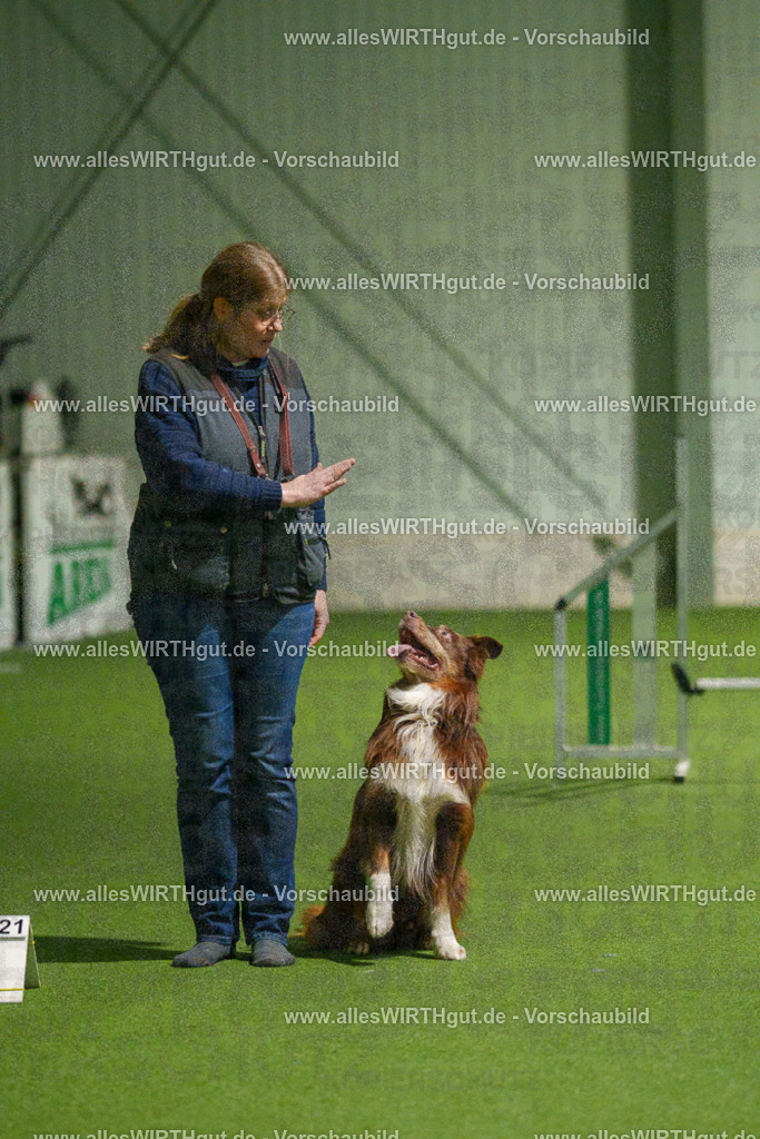 7R508965 | Professionelle Tierfotografie in Mönchengladbach von Daniel Wirth (allesWIRTHgut). Liebevolle & natürliche Bilder von Hunden & Katzen für unvergessliche Erinnerungen.