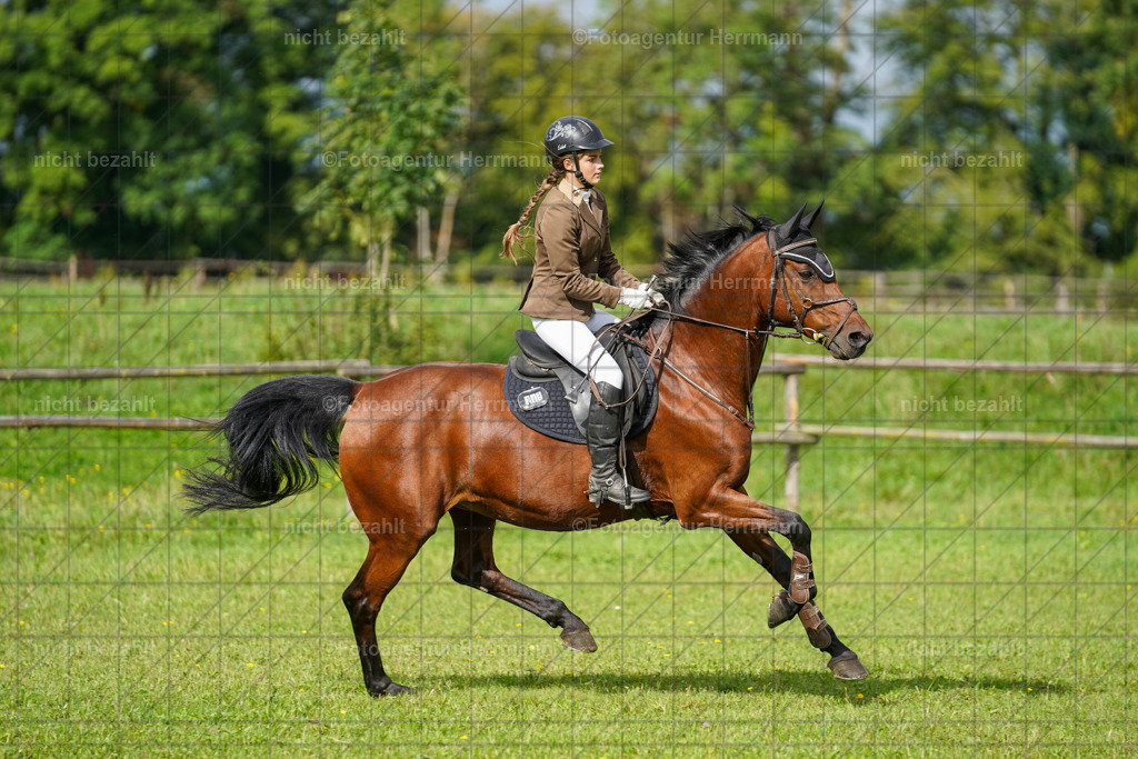 20230917-FAH09235 | Landsberg am Lech, 2023, Kaufbeuren, Kempten, Allgäu, Turnierfotografen Bayern, Fotoagentur Herrmann, Turnierbilder, Reitsport Fotos, Pferdefotograf, Augsburg, Bad Tölz, Dachau, Karlsfeld, Memmingen, Buchloe, Schwabmünchen