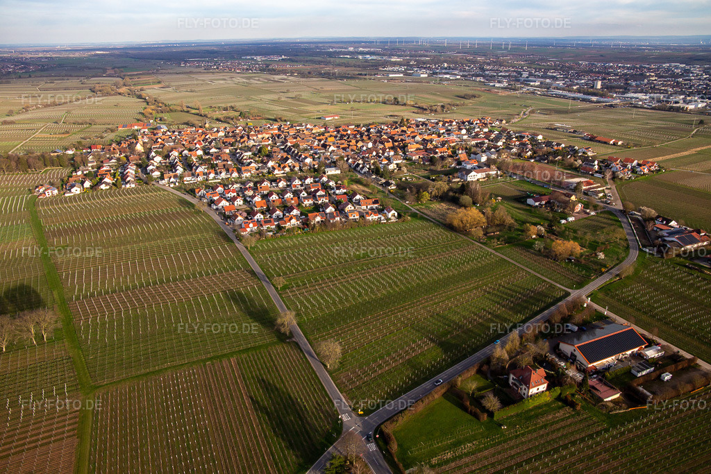 Luftbild: Ortsansicht von Westen im Ortsteil Nußdorf in Landau im Bundesland Rheinland-Pfalz in Deutschland. Foto: IMG_140064.jpg vom 14.03.2024 durch Werner Riehm/FLY-FOTO.de