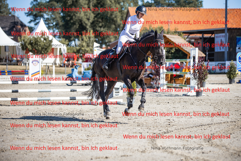 BK1A8018 | Turnierbilder Turnierfotos Nina Hüffmann Turnierfotografie Pferdefotografie Tierzeichnung Haustierzeichnung Pferdezeichnung Hundezeichnung Videograf  - Realisiert mit Pictrs.com