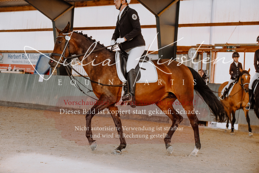 DSC_7581 | Pferde- und Turnierfotografie in Westsachsen. Pferdeportraits, Auftragszeichnungen und intuitive Kunst.