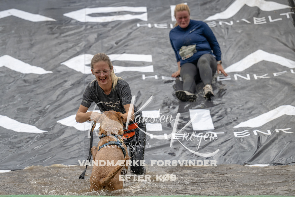 1552_ZZ91242 | kk-dogfotos