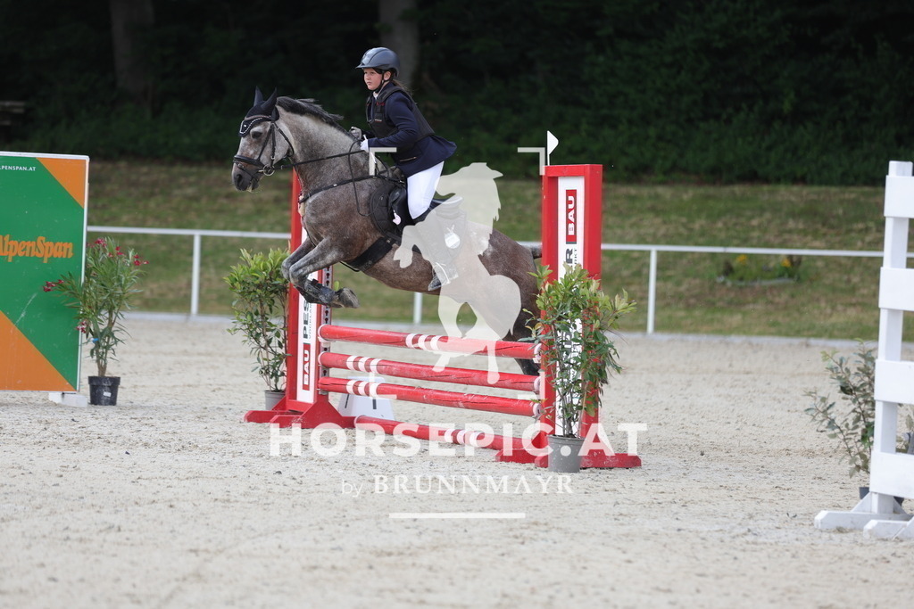 0P6A5300 | Willkommen bei Brunnmayr - Design & Fotografie – Ihrem Spezialisten für Reitturniere und Pferdeveranstaltungen in Oberösterreich, Salzburg und Bayern! Seit über 17 Jahren sind wir leidenschaftlich dabei.