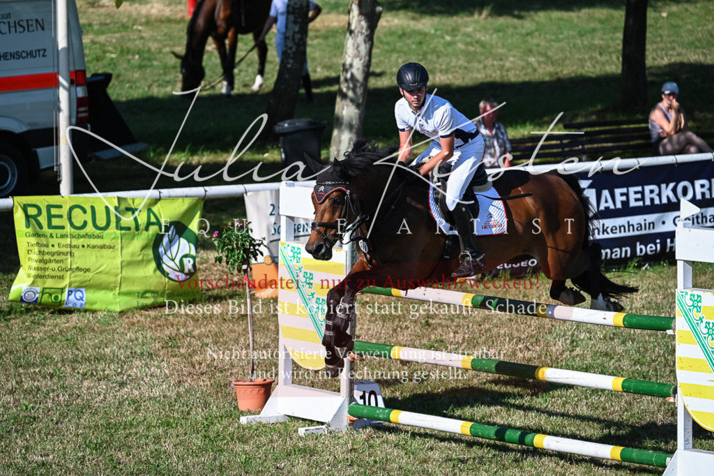 DSC_2532 | Pferde- und Turnierfotografie in Westsachsen. Pferdeportraits, Auftragszeichnungen und intuitive Kunst.