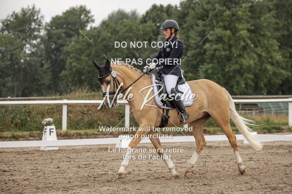 nelerasche_DrL_Ede_291 | nelerasche